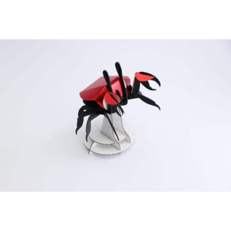 Puzzle 3d - assembli - beach crabuzzle 3d - assembli - beach crab