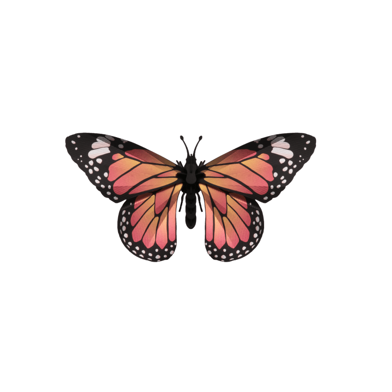 Puzzle 3d - assembli - monarch butterflyuzzle 3d - assembli - monarch 