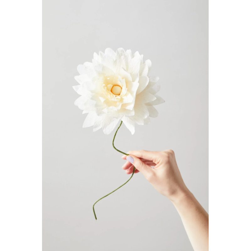 Fleur en papier - s.a - grand dahlia sandleur en papier - s.a - grand
