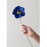 Fleur en papier - s.a - peony blueleur en papier - s.a - peony blue