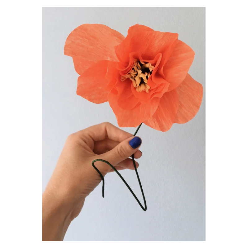 Fleur en papier - s.a - poppy redleur en papier - s.a - poppy red