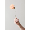 Fleur en papier - s.a - chrysanthemum nudeleur en papier - s.a - chrys