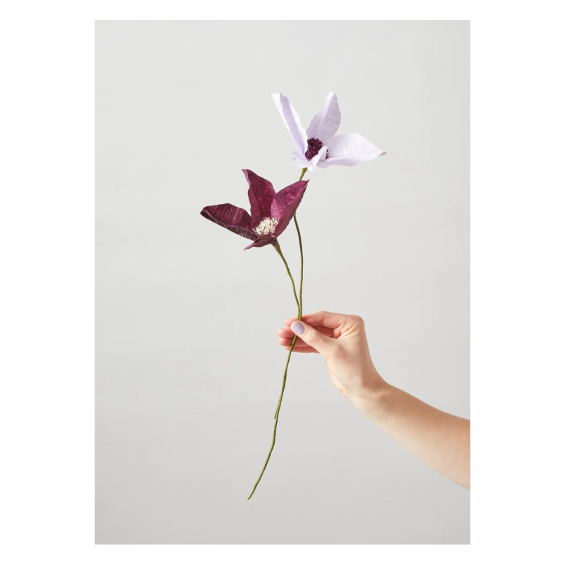 Fleur en papier - s.a - clematis purpleleur en papier - s.a - clematis