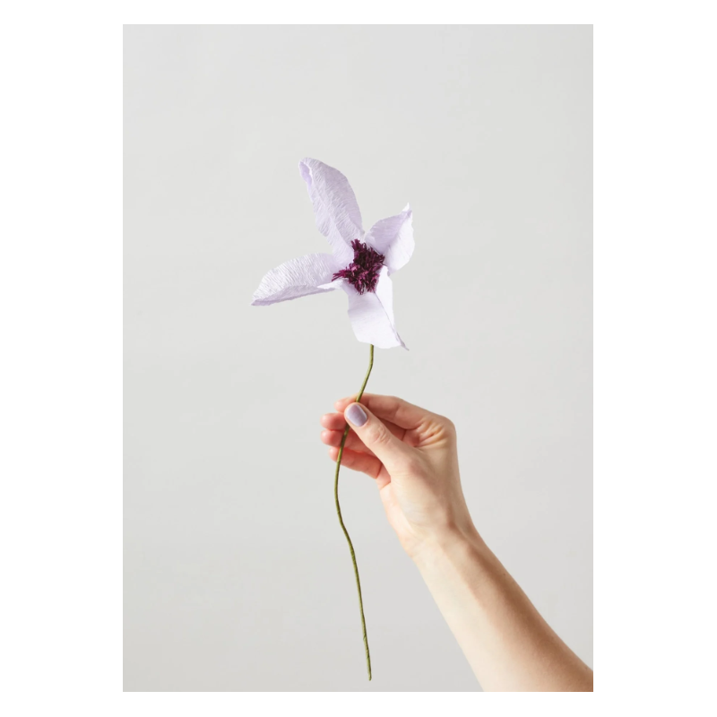 Fleur en papier - s.a - clematis purpleleur en papier - s.a - clematis