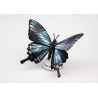 Puzzle 3d - assembli - papillon - blue montain butterfly