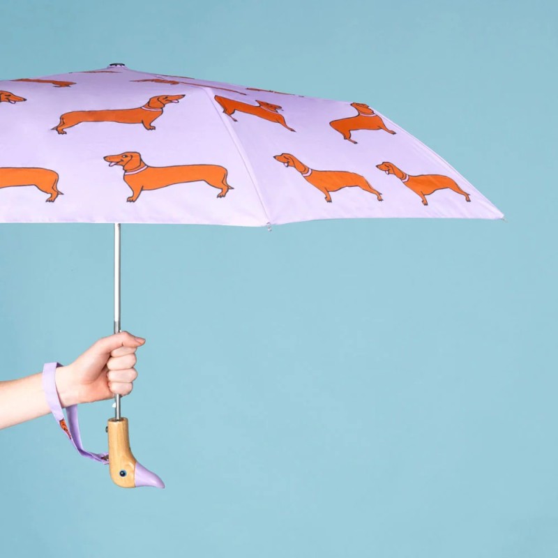 Parapluie - duckhead - automatique - teckel coucou suzette