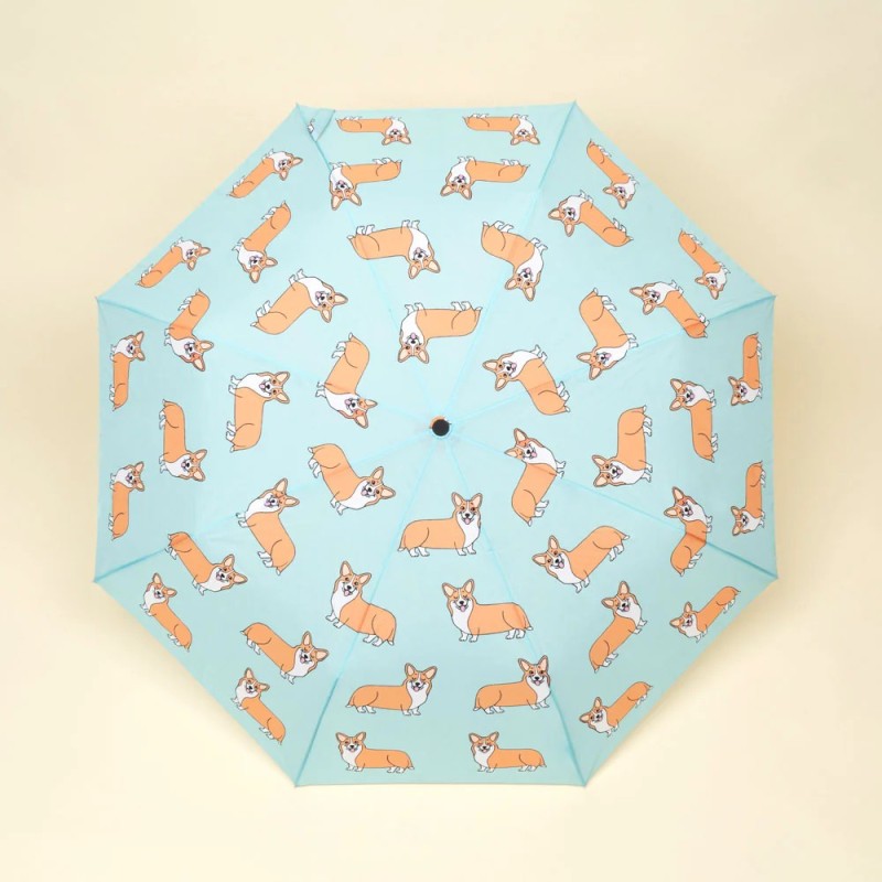 Parapluie - duckhead - automatique - corgi coucou suzette