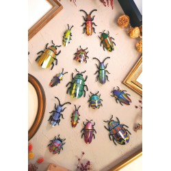 Puzzle 3d - assembli - beetle collection de 5