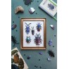 Puzzle 3d - assembli - beetle collection de 5