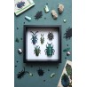 Puzzle 3d - assembli - beetle collection de 5