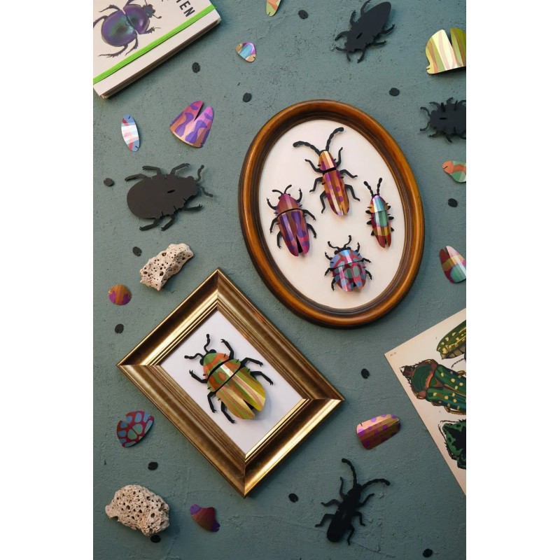 Puzzle 3d - assembli - beetle collection de 5