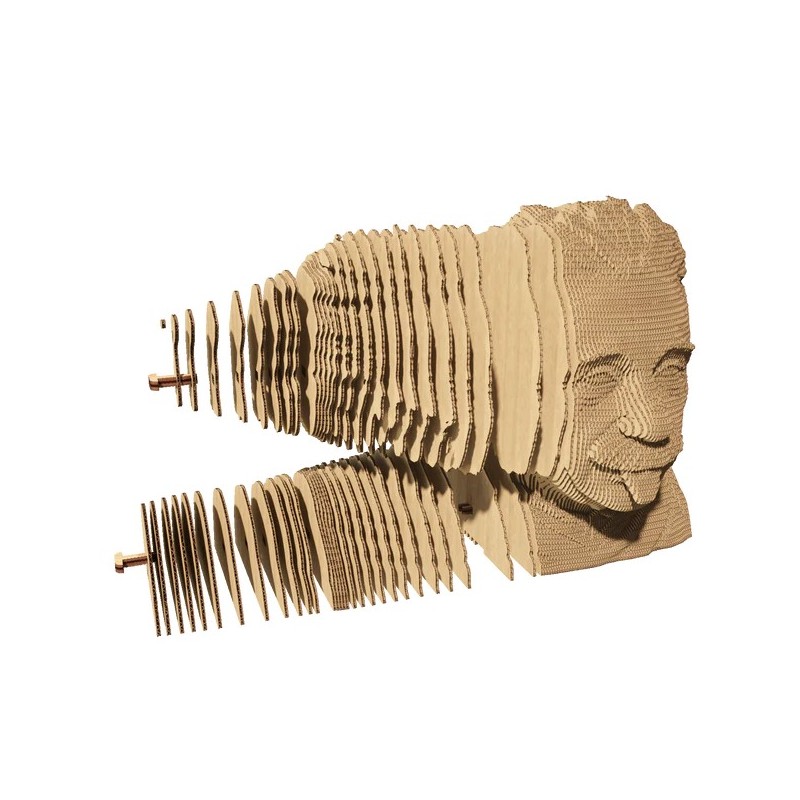 Puzzle sculpture 3d carton - cartonic - albert einstein