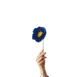 Fleur en papier - studio about - ice poppy blue