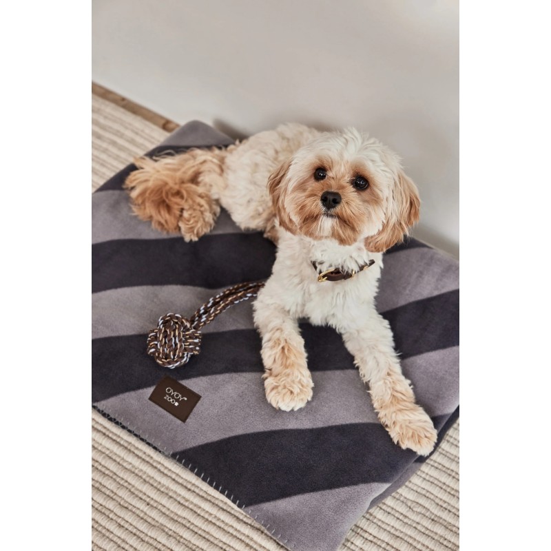 Jouet pour chien - oyoy - otto rope - choco