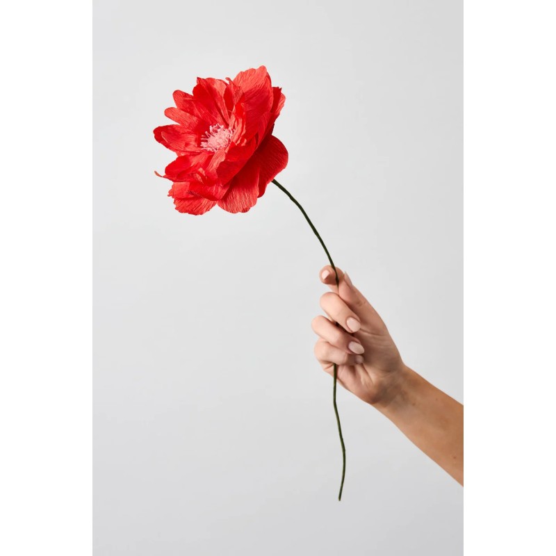 Fleur en papier - studio about - oriental poppy red