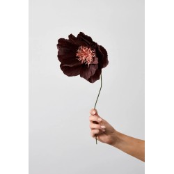 Fleur en papier - studio about - rhapsody rose brown