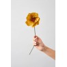 Fleur en papier - studio about - windflower ochre