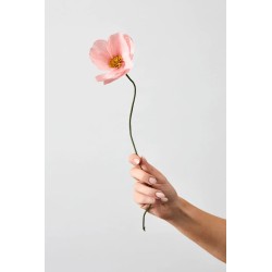 Fleur en papier - studio about - windflower rose