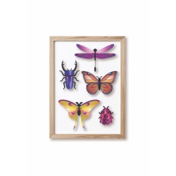 Puzzle 3d - assembli - mixed insects set