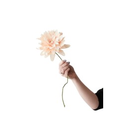 Fleur en papier - studio about - grand dahlia nude