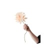 Fleur en papier - studio about - grand dahlia nude