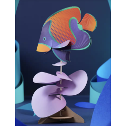 Puzzle 3d - assembli - poisson rainbow wrasse