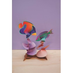 Puzzle 3d - assembli - poisson duo - majestic angelfish & Rainbow wrasse