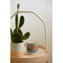 Bougie - gh - Adopo - flower ceramic candle - cactus flower