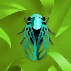 Puzzle 3d - assembli - cicada