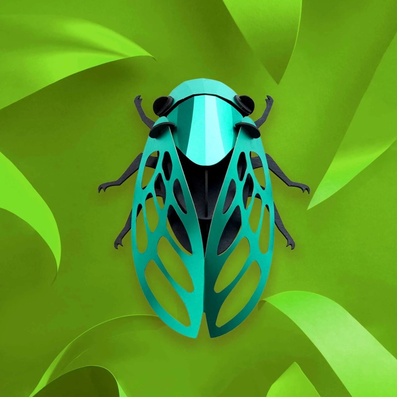 Puzzle 3d - assembli - cicada