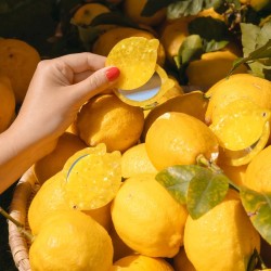 Miroir - coucou suzette - citron