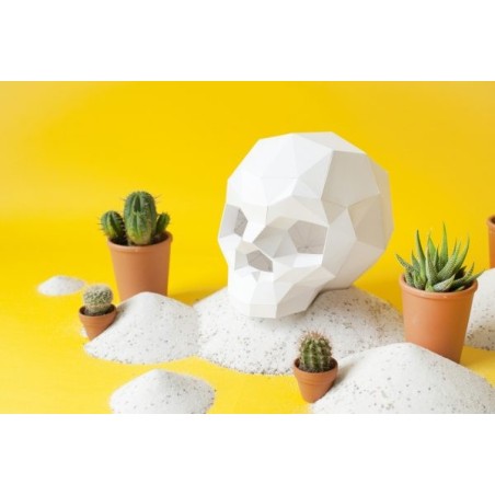 ORIGAMI PAPIER - ASSEMBLI - SAPIENS