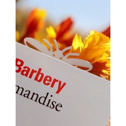 Marque-pages laiton - malangocha - abeille