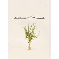 Theline - Seoul - 50cm