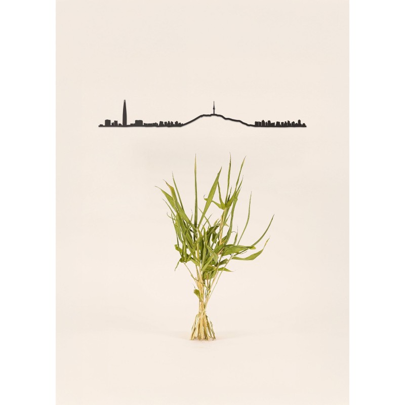 Theline - Seoul - 50cm