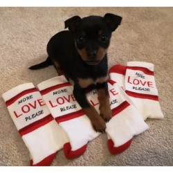 Chaussettes - pegada - more love please - TU