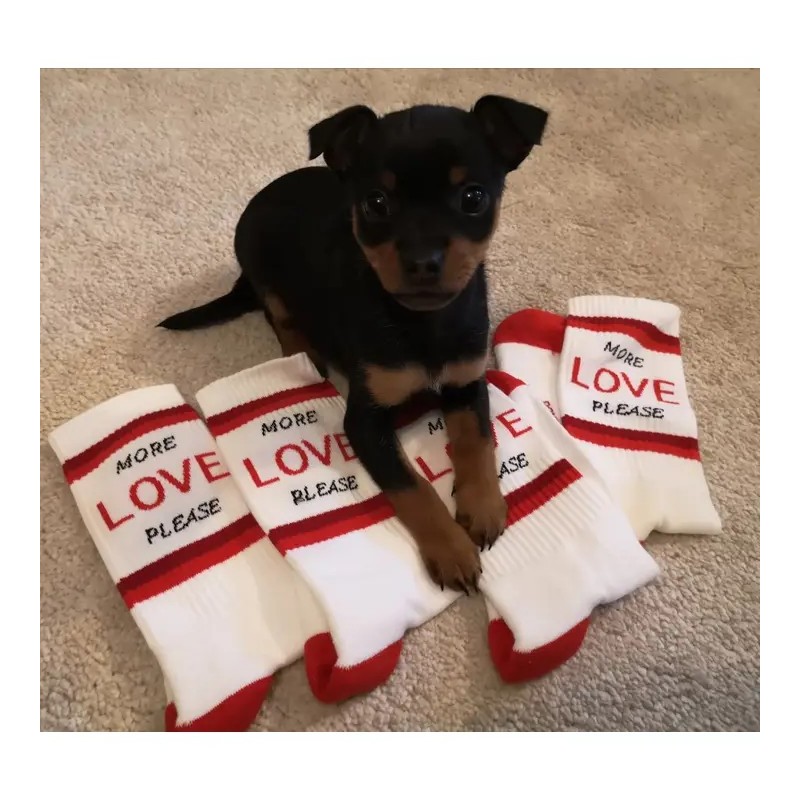 Chaussettes - pegada - more love please - TU