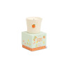 Bougie - gh - 226g -  bistro orange - citrus spritz