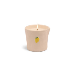 Bougie - gh - 226g -  bistro lemon - meyer lemon