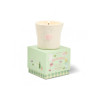 Bougie - gh - 226g -  bistro macaron - amber pistachio