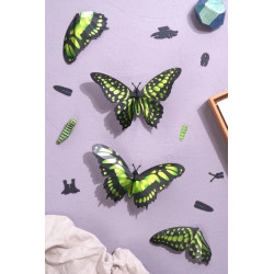 Puzzle 3d - assembli - papillon - Malachite