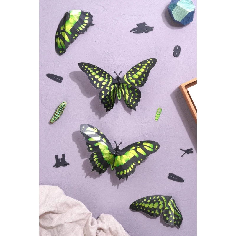 Puzzle 3d - assembli - papillon - Malachite