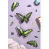 Puzzle 3d - assembli - papillon - Malachite