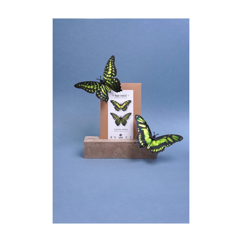 Puzzle 3d - assembli - papillon - Malachite