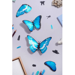 Puzzle 3d - assembli - papillon - Morpho blue