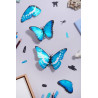 Puzzle 3d - assembli - papillon - Morpho blue