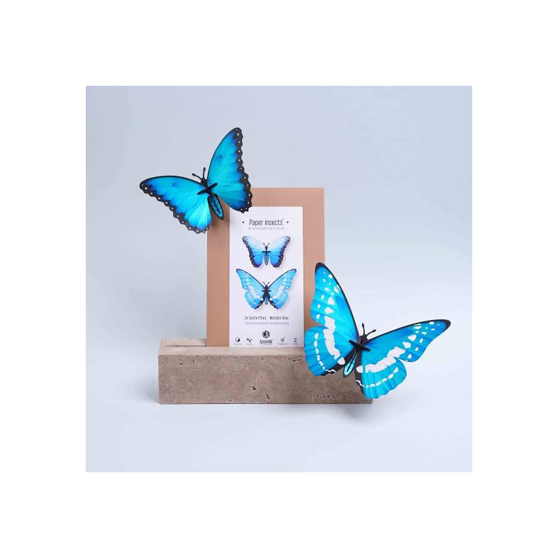 Puzzle 3d - assembli - papillon - Morpho blue