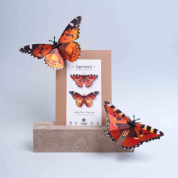 Puzzle 3d - assembli - papillon - orange lady