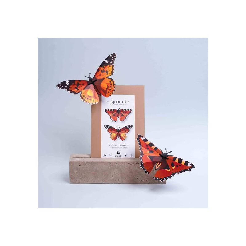 Puzzle 3d - assembli - papillon - orange lady