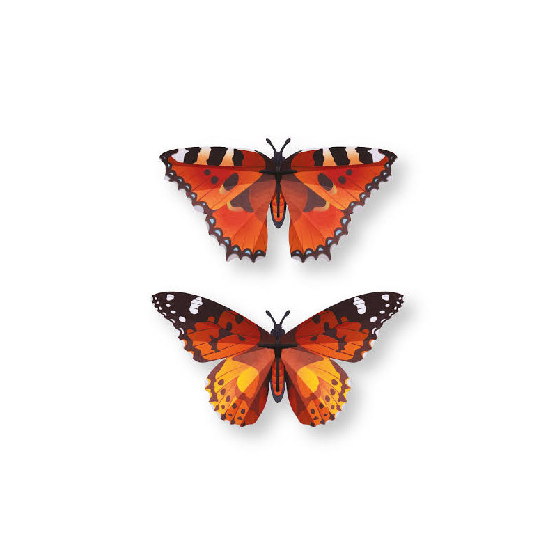 Puzzle 3d - assembli - papillon - orange lady
